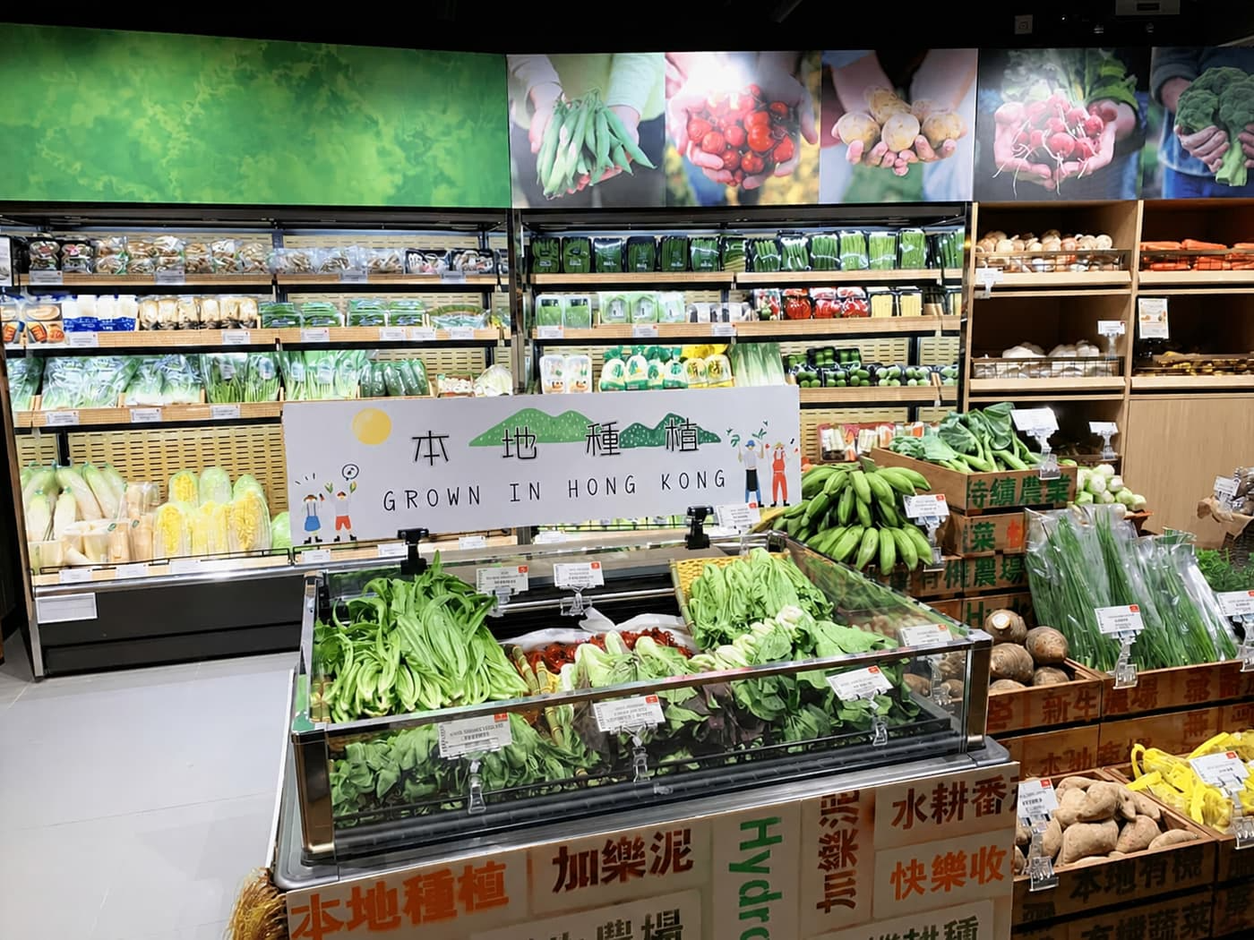 同行者